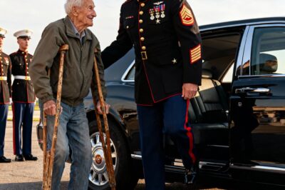 On a quiet Marine base, two young guards saw only a frail old man blocking their path. They had no idea they were standing in the shadow of a ghost, a legend whose story was only whispered in the most hallowed halls.