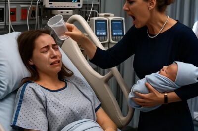 After the Crash, I Couldn’t Feel My Legs. But the Real Nightmare Began When My Mother-in-Law Slapped Me in My Hospital Bed, Stole My Newborn Baby, and Told Me I Was ‘Unfit’ to Be a Mother. She Didn’t Know…